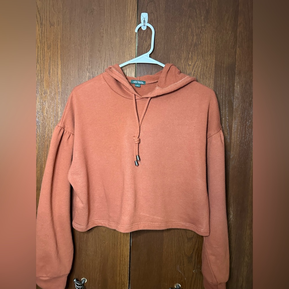 Wild Fable orange crop top sweater